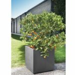 Cube Flower Pot - DEROMA - Millennium R - Anthracite - Self-Watering - Casters - 49 cm - Image 5