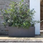 Muret Planter - DEROMA - Millennium R - Anthracite - With water reserve - Casters - 99 cm - Image 3