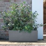 Muret Planter - DEROMA - Millennium R - Ashgrey - With water reserve - Casters - 99 cm - Image 3