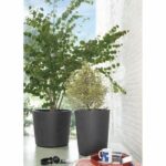 Flower pot Vase - DEROMA - Millennium R - Anthracite - With water reserve - Height - 53 cm - Image 5