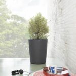 Flower pot Vase - DEROMA - Millennium R - Anthracite - With water reserve - Height - 53 cm - Image 6