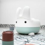 RABBIT POT - Image 3