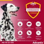 ADVANTIX 4 antiparasitic pipettes - For very large dog from 40 to 60 kg - 4 x 6 ml - Image 4
