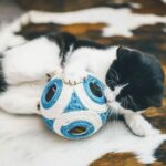 XXL Scratching Post - AIMÉ - Blue Ball + 1 Ball 11.5cm - Image 4