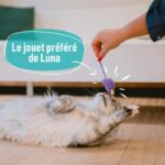 7 Cat Toys - LOVED - Image 4