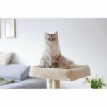 Cat tree 100 cm - ALESSIA - KERBL - Soft - Two-story alcove - Image 5