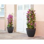 Pot Capri Campana 30cm Anthracite - Image 6