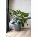 Elegant low vase - CAPI EUROPE - GROOVE NL - 34 x 46 cm - Anthracite - Image 2