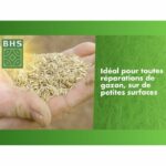 Top Dress' Lawn Repair - BHS - 500g | 20 m² | Coated seeds for better ground adhesion. - Image 2