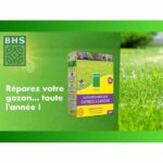Top Dress' Lawn Repair - BHS - 500g | 20 m² | Coated seeds for better ground adhesion. - Image 3