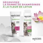 Dry shampoo - VETOCANIS - 150gr for Cats - Image 6