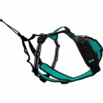 Dog harness - SYMBIOZ - M - Black / Blue - Image 2