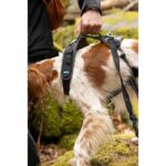 Dog harness - SYMBIOZ - M - Black / Blue - Image 4