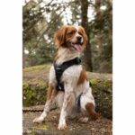 Dog harness - SYMBIOZ - M - Black / Blue - Image 5