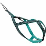 Dog traction harness - OLYMPIA - L - X-back type - Blue - Image 2