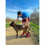 Dog traction harness - OLYMPIA - L - X-back type - Blue - Image 5