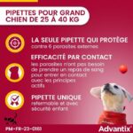 Advantix Dog Large breed antiparasitic solution 25 A 40kg 4 pipettes - Image 3