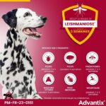 Advantix Dog Large breed antiparasitic solution 25 A 40kg 4 pipettes - Image 4