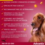 ADVANTIX 4 antiparasitic pipettes - For small dogs from 4 to 10kg - Image 5