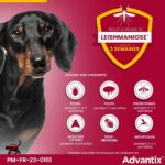 Advantix Dog Antiparasitic solution Small breed 4 A 10kg 6 pipettes – Bild 4