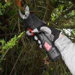 7.2V lithium rechargeable pruning shears with telescopic pole - Elem Garden - Image 3