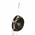 Blender - Mixer - DOMO - DO9203BL - 500 W - 1.5 L Jug - BPA-free - Grey - Image 5