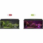 CIANO CLN5 white and RGB 1.5W led ramp + transformer for nexus Betta Life 5C and Diamond 14C CIANO - Image 5