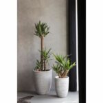 Elegant low flower pot - CAPI EUROPE - RIB NL - 46 x 58 cm - Ivory - Image 2