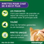 Advantage antipuce rabbit chat solution +4kg 6 pipettes - Image 3