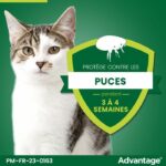 Advantage antipuce rabbit chat solution +4kg 6 pipettes - Image 4