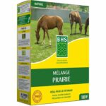 Lawn – BHS – Meadow Mix 1kg | 40m² | For extensive areas and pastures | Quick to install, durable, maintenance-free.