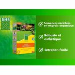 Lawn - BHS - Rustic Lawn 1 KG - Stronger and better protected - Fast and Durable - All Types of Terrain and Climates, Robust - Image 2