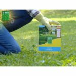 Lawn - BHS - Shade Lawn 1kg | 40m² | Resistant to low light and shaded areas. - Image 5