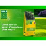 English Turf - BHS - 10kg for High-End Gardens - Image 3