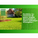 English Turf - BHS - 10kg for High-End Gardens - Image 4