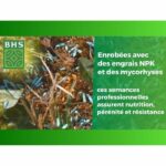 English Turf - BHS - 10kg for High-End Gardens - Image 5