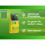 BHS English Turf - 5kg for High-End Gardens - Image 2