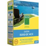 Lawn - BHS - Seaside Lawn 1kg | 40m² | Resistant to wind, drought, and salt | Beautiful, attractive, and robust summer lawn.