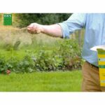 Lawn - BHS - Seaside Lawn 1kg | 40m² | Resistant to wind, drought, and salt | Beautiful, attractive, and robust summer lawn. - Image 4