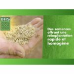 Lawn - BHS - Lawn Regrowth 1kg - Image 6