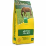 Grass – BHS – Meadow Mix 5kg | 500m² | For extensive areas and pastures | Quick to install, durable, maintenance-free.