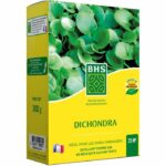 Kikuyu - BHS - 300g | 25 m² | Mediterranean areas | Resistant to high heat and trampling.