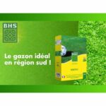 Kikuyu - BHS - 300g | 25 m² | Mediterranean areas | Resistant to high heat and trampling. – Bild 3