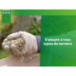 Lawn - BHS - Rustic Lawn 20kg, for traditional gardens and all types of soil. Dense, attractive, fast-growing, and durable. - Image 2