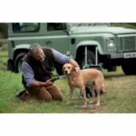 Bosch battery-free exterior cleaner - Image 3