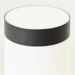 Dody color detector color black E27 - Image 4