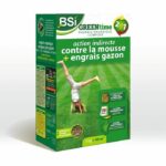 BSI - Lawn Fertilizer - Greentime - Fertilize the Lawn - up to 40m² - 4kg