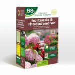 BSI - Hydrangea/Rhododendron Fertilizer - For All Hydrangeas / Rhododendrons - Long-Lasting Action - 4kg - Up to 40 m² - UAB