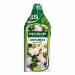 Liquid Fertilizer for Orchids - BSI - Stimulates flowering - With Trace Elements and Chelates - 800 ml