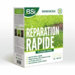 BSI - Grass Seeds - Quick Repair - With Protective Coating - High Quality - up to 125m² - 2.5Kg